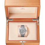 Omega Seamaster Diver 300 M 210.30.42.20.06.002 - (6/6)