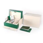 Rolex Sky-Dweller 326934 - (3/3)