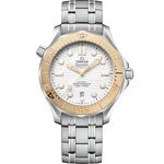 Omega Seamaster Diver 300 M 522.21.42.20.04.001 - (1/1)