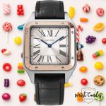 Cartier Santos Dumont W2SA0011 - (1/8)