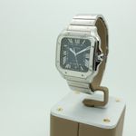 Cartier Santos WSSA0030 - (1/8)