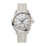 Omega Seamaster Aqua Terra 220.12.41.21.02.005 (2026) - Silver dial 41 mm Steel case (1/1)