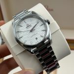 Omega Seamaster Aqua Terra 220.10.38.20.02.003 - (7/10)