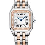 Cartier Panthère W3PN0015 (2026) - Silver dial 29 mm Gold/Steel case (1/1)