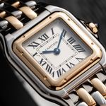 Cartier Panthère W2PN0018 - (1/6)