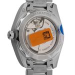 Omega Seamaster Railmaster 235.10.38.20.06.001 (2026) - Grey dial 38 mm Steel case (6/8)