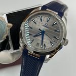 Omega Seamaster Aqua Terra 220.12.41.21.06.001 (2023) - Grijs wijzerplaat 41mm Staal (1/8)