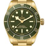 Tudor Black Bay Fifty-Eight 79018V (2026) - Bruin wijzerplaat 39mm Geelgoud (1/1)