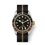 Tudor Black Bay GMT 79833MN - (1/1)