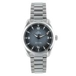 Omega Seamaster Railmaster 235.10.38.20.06.001 - (1/7)