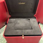 Cartier Santos Dumont W2SA0012 (2023) - Silver dial 28 mm Steel case (6/6)