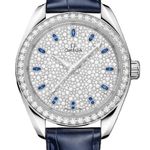 Omega Seamaster Aqua Terra 220.58.34.20.99.007 - (1/1)