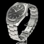 Omega Seamaster Aqua Terra 2517.50.00 - (5/8)