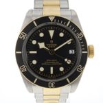 Tudor Black Bay S&G 79733N - (1/4)