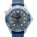 Omega Seamaster Diver 300 M 210.32.42.20.06.001 (2024) - Grey dial 42 mm Steel case (1/1)