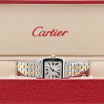 Cartier Santos Demoiselle 2698 (Unknown (random serial)) - 20 mm Steel case (1/8)