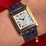 Piaget Unknown unknown - (3/8)