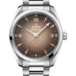 Omega Seamaster Railmaster 235.10.38.20.13.001 (2026) - Bruin wijzerplaat 38mm Staal (1/1)