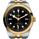 Tudor Black Bay S&G 79683 - (1/1)