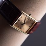 Piaget Unknown Unknown - (5/8)