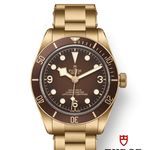 Tudor Black Bay Bronze 79012M - (1/1)