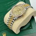 Rolex Datejust 126283RBR - (10/10)