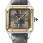 Cartier Santos Dumont W2SA0036 (2026) - Grey dial 44 mm Steel case (1/1)