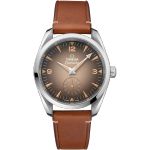Omega Seamaster Railmaster 235.12.38.20.13.001 (2025) - Brown dial 38 mm Steel case (1/1)