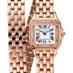 Cartier Panthère WJPN0069 (2026) - Silver dial 30 mm Rose Gold case (1/1)