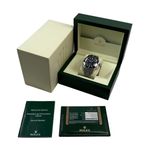 Rolex Sea-Dweller Deepsea 116660 (2009) - 44 mm Steel case (5/5)