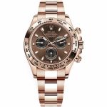 Rolex Daytona 116505 (2023) - Bruin wijzerplaat 40mm Roségoud (1/2)