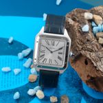 Cartier Santos Dumont WSSA0032 (Onbekend (willekeurig serienummer)) - Zilver wijzerplaat 47mm Staal (1/8)