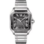 Cartier Santos WSSA0037 - (1/1)