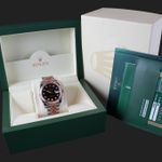 Rolex Datejust 36 116231 - (8/8)