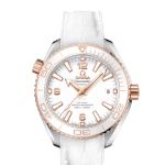 Omega Seamaster Planet Ocean 215.23.40.20.04.001 - (1/1)