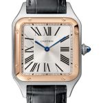 Cartier Santos Dumont W2SA0037 (2026) - Silver dial 31 mm Steel case (1/1)