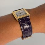 Piaget Unknown unknown - (8/8)