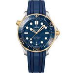 Omega Seamaster Diver 300 M 210.22.42.20.03.001 - (1/1)
