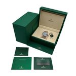 Rolex Sky-Dweller 336935 (2026) - 42 mm Rose Gold case (5/5)