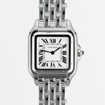 Cartier Panthère WSPN0016 - (1/4)