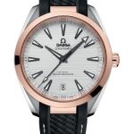 Omega Seamaster Aqua Terra 220.22.41.21.02.001 (2026) - Zilver wijzerplaat 41mm Staal (1/1)