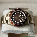 Tudor Black Bay Bronze 79012M (2025) - Bruin wijzerplaat 39mm Brons (5/7)