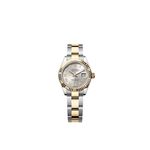Rolex Lady-Datejust 279173 (2025) - Silver dial 28 mm Gold/Steel case (1/1)