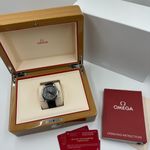 Omega Seamaster Aqua Terra 220.13.41.21.06.001 - (2/8)