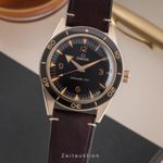 Omega Seamaster 300 234.92.41.21.10.001 - (1/8)