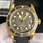 Tudor Black Bay Bronze 79250BA (2025) - Grijs wijzerplaat 43mm Brons (1/8)