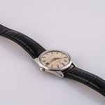 Omega Seamaster 166.01 - (7/8)