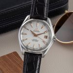 Omega Seamaster Aqua Terra 231.13.42.21.02.002 (2013) - Zilver wijzerplaat 42mm Staal (3/8)