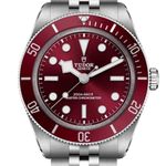 Tudor Black Bay 7939A1A0RU - (6/18)