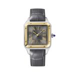 Cartier Santos Dumont